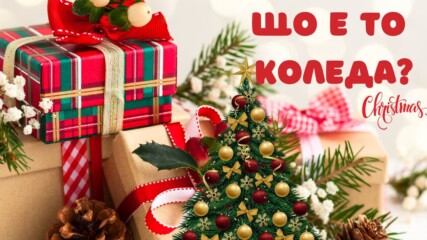 Защо всъщност всички хора празнуваме Коледа?✨🤩🎄