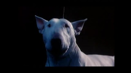 Paul Mccartney - No More Lonely Nights