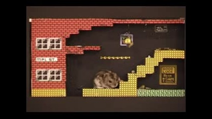 Приключенията На Хамстерчето