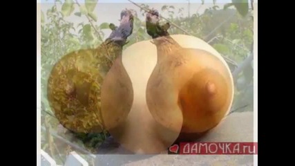 Растения и еротика - Чудни форми!