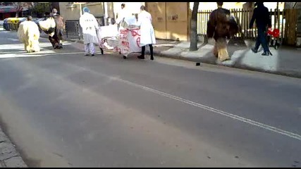 surva 2010