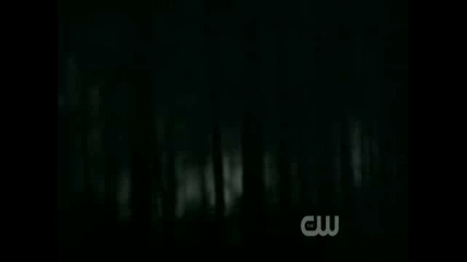 Stranger Vampire Diaries 