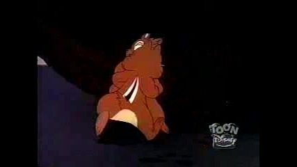 Donald Duck - All In A Nutshell