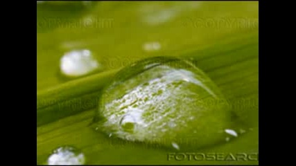Un altra acqua - Mango 