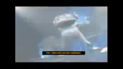 Crazy frog - Simbu