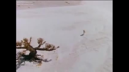 Pink Floyd - Take It Back