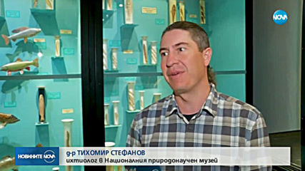 Откриха в Дунав смятана за изчезнала в цял свят риба