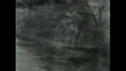 Warrant - Sometimes She Cries