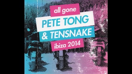 All Gone Pete Tong & Tensnake pres Ibiza 2014 cd2