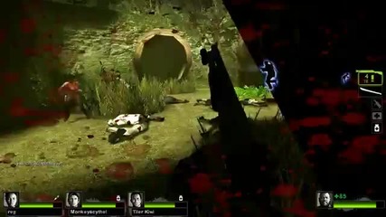 Left 4 Dead 2 Kokiri Forest - map 1