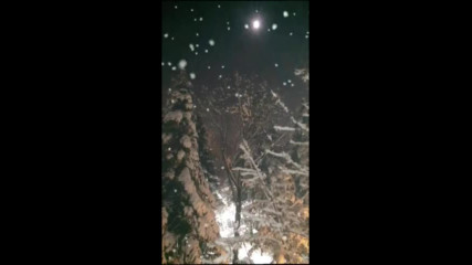 video-winter 2017