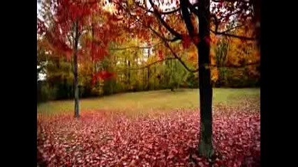 Best relaxing chill out.