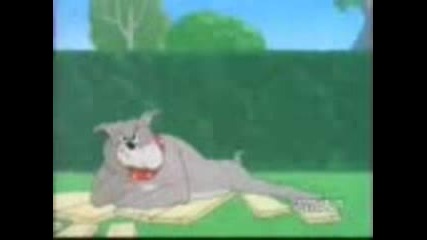 Tom & Jerry 2