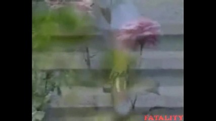 Dragana - Simpatija (44100 - 320)