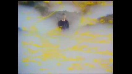 P Lion - Dream (1984) 