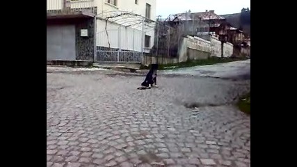 Горда - обучение на място 