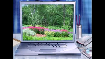 С Музиката На Мехди
