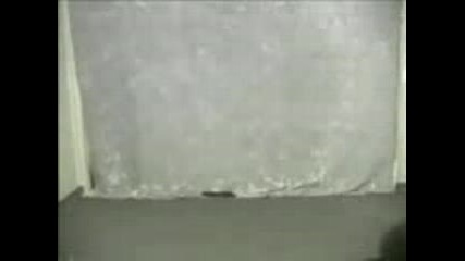 Афро - Нинджа