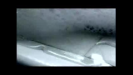 Cephalic Carnage - Dying Will Be The Death