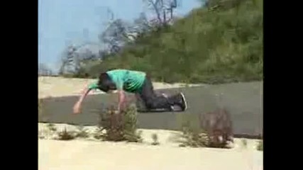 ryan sheckler