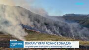 Пожарът в Пловдивско е овладян, огънят обхвана над 1200 декара