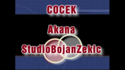 Cocek - Akana - Studio Bojan Zekic 