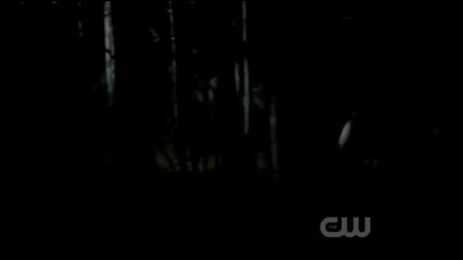 Damon protects Elena from the werewolf by making it chase him