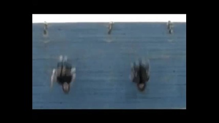 Free Running Sweden - Momentum Coruscus 