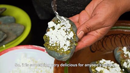 Adventurous bite: Blue Corn