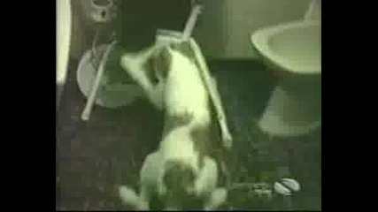 Смях :p 