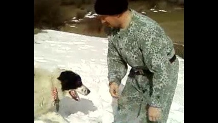 Бок Сара - Попинци