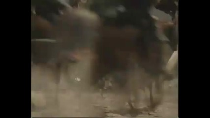 Nightwish - 10th Man Down