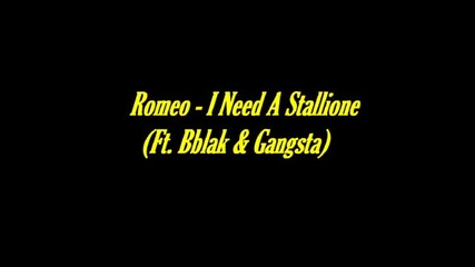 Romeo - I Need A Stallione
