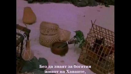 Скритите Хаваи / Бг субтитри (част 1) 