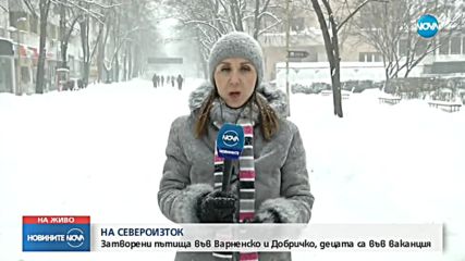 СНЕЖНА ЗИМА: Затворени пътища, села без ток и празни класни стаи (ВИДЕО)