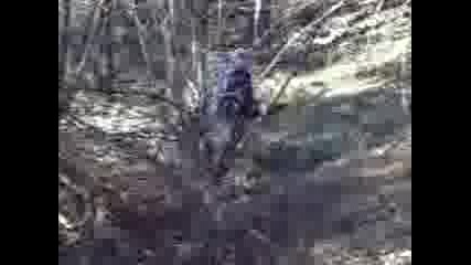 03122011061