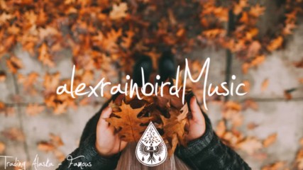 Indie pop folk Compilation - October 2016 1- hour Playlist