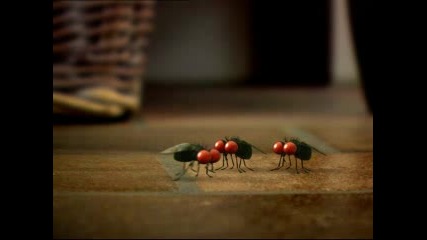 Minuscule - Flies