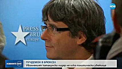 Новините на NOVA (31.10.2017 - късна)