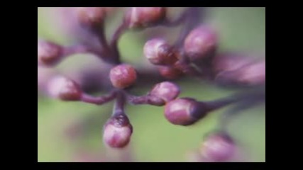 Love Never Fails - Jim Brickman Ft Amy Sky