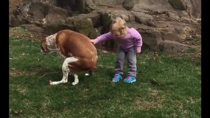 Смешна случка между дете и куче