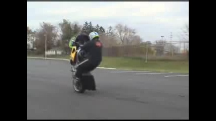 Motori Stunts