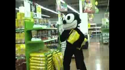 Remi Gaillard - Котка
