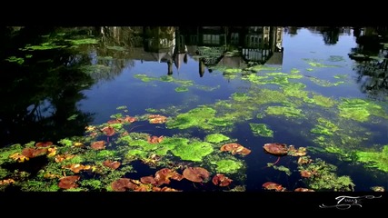 Blue Stahli - Scrape Acoustic [видео - ރ Ƭคᖇค ]