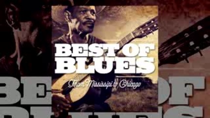 Best of Blues, from Mississipi to Chicago