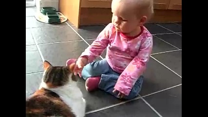 Една много търпелива котка... :))))
