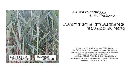 L'artista Italiano - La Principessa e il Pirata