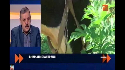 3 случая на антракс у нас