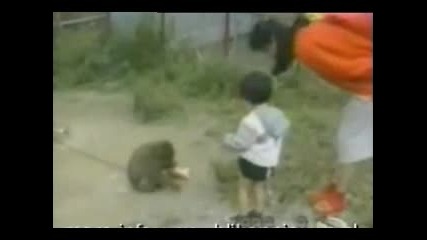 Кунг Фу Маймунка нокаутира дете