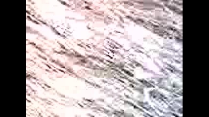 (1)